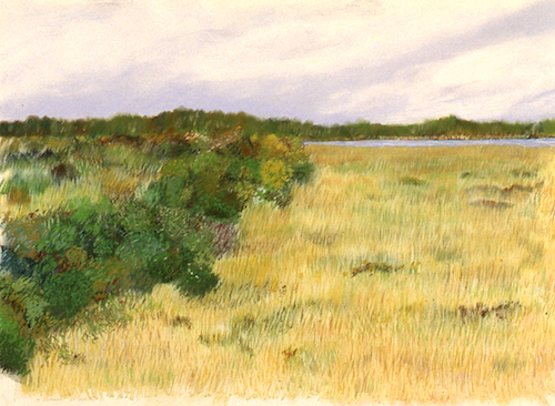 102_carolos_avery-small