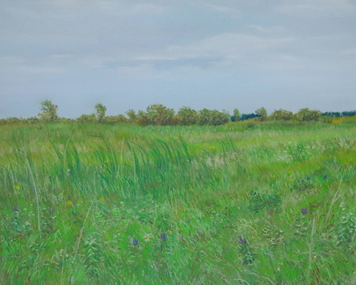 141_tauer_prairie_morning_8_august_2014-small