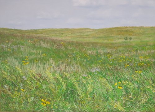 144_cottonwood_river_prairie_afternoon_8_august_2014-small