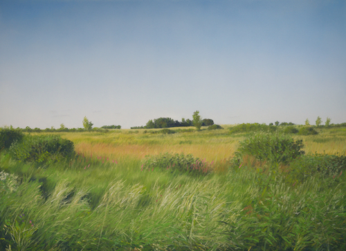 151_tauer_prairie_early_evening_3_aug_2015-small