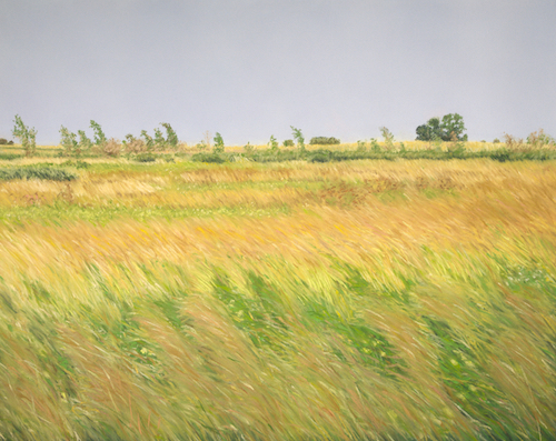 152_tauer_prairie_evening_15_sept_2015-small