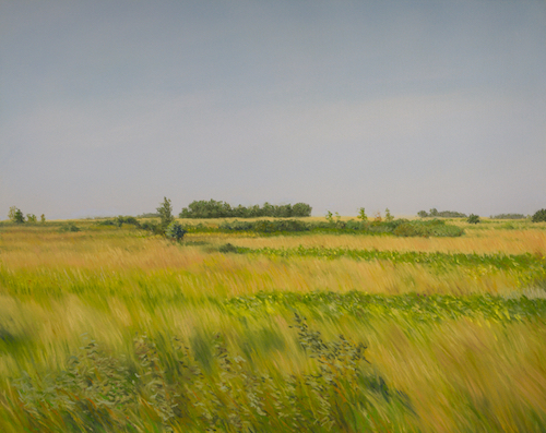 153_tauer_prairie_late_afternoon_15_sept_2015-small