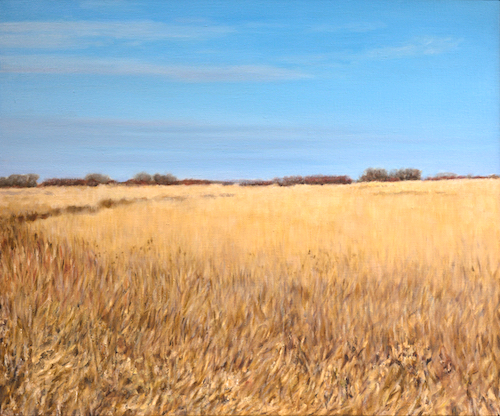 158_Tauer_Prairie_Nov10-small